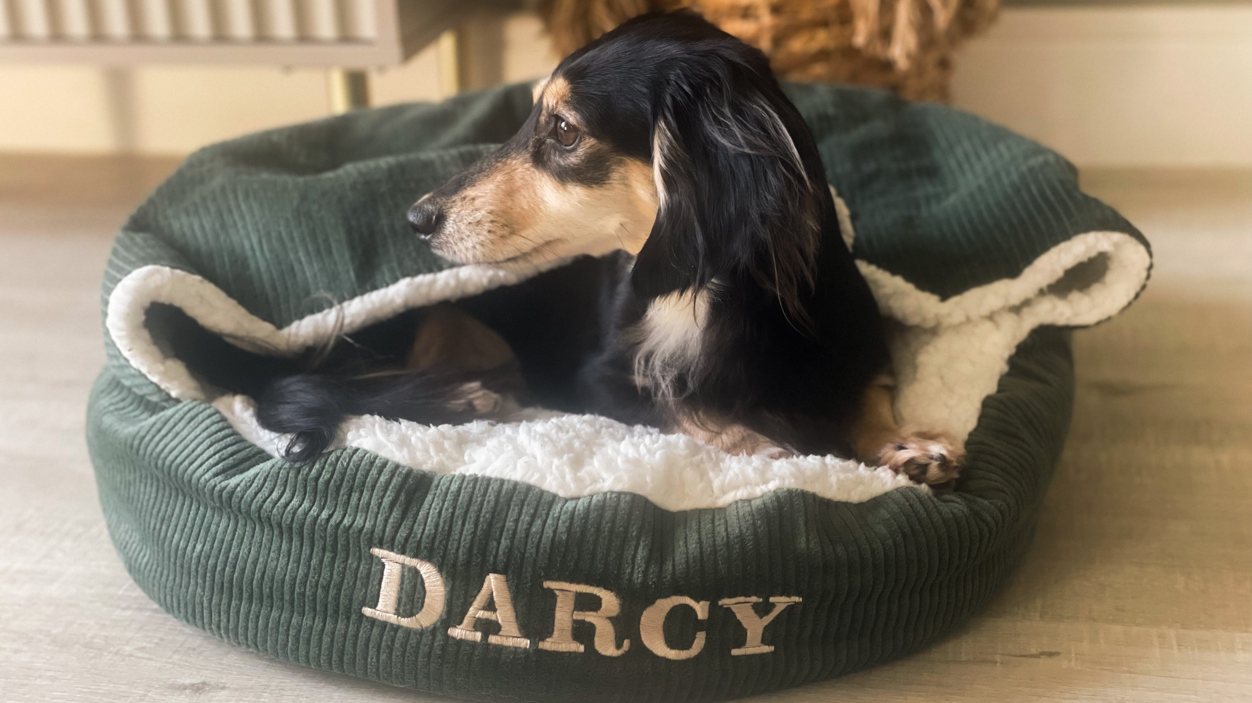 The Perfect Dog Bed for Dachshunds: Discover Our New Snuggly Cave Bed Range