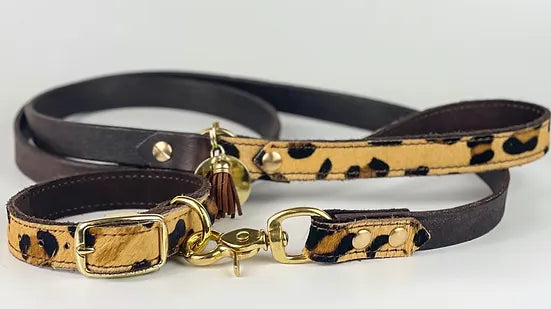 What Kind Of Dog Lead Is Best For Dachshunds?
