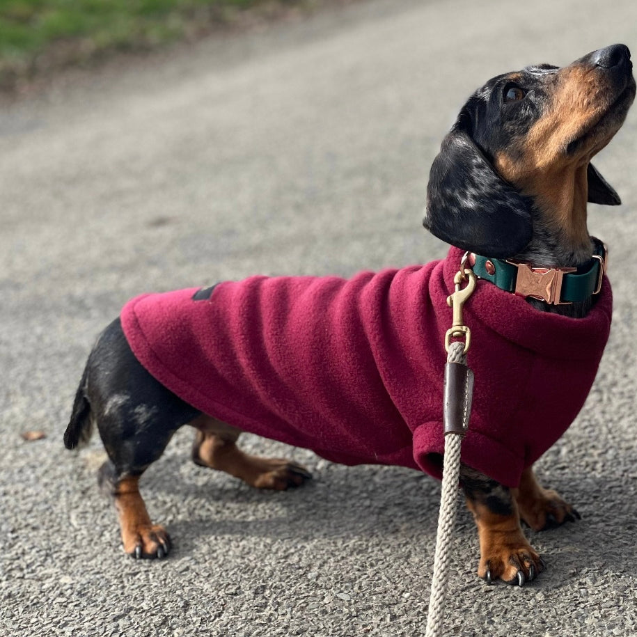 Luxury Dachshund Jumpers