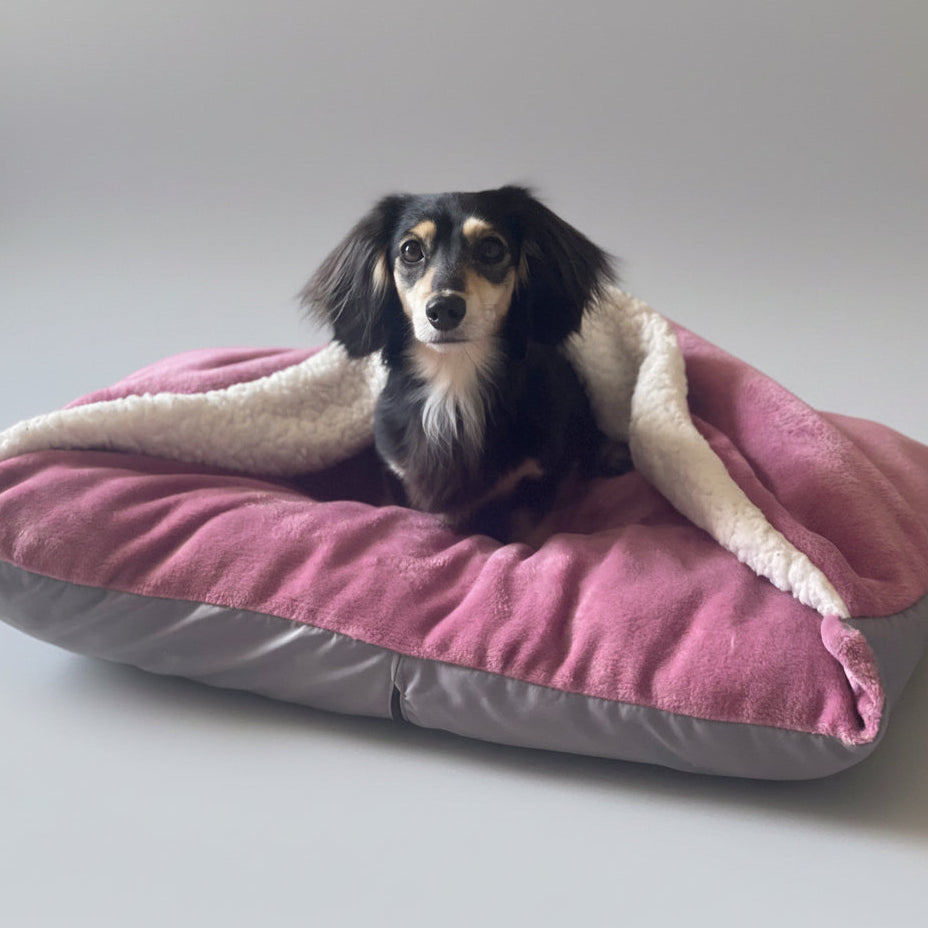 Dog lying on a pink and gray pet bed in a room with a basket and furniture.