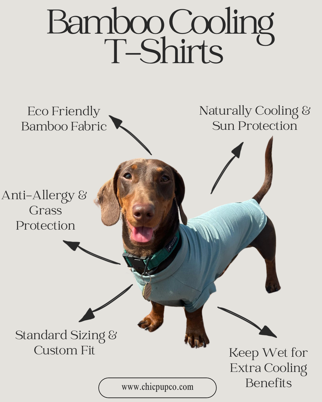 Dog wearing a bamboo cooling t-shirt with features listed on a grey background
