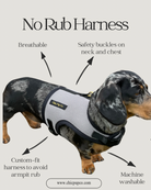Dog wearing a harness with features highlighted on a light gray background