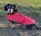 lightweight coat 2_edited_edited.jpg