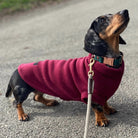 dachshund warm polar fleece