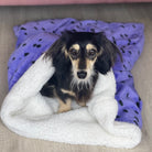 dog in a snuggle sack bed