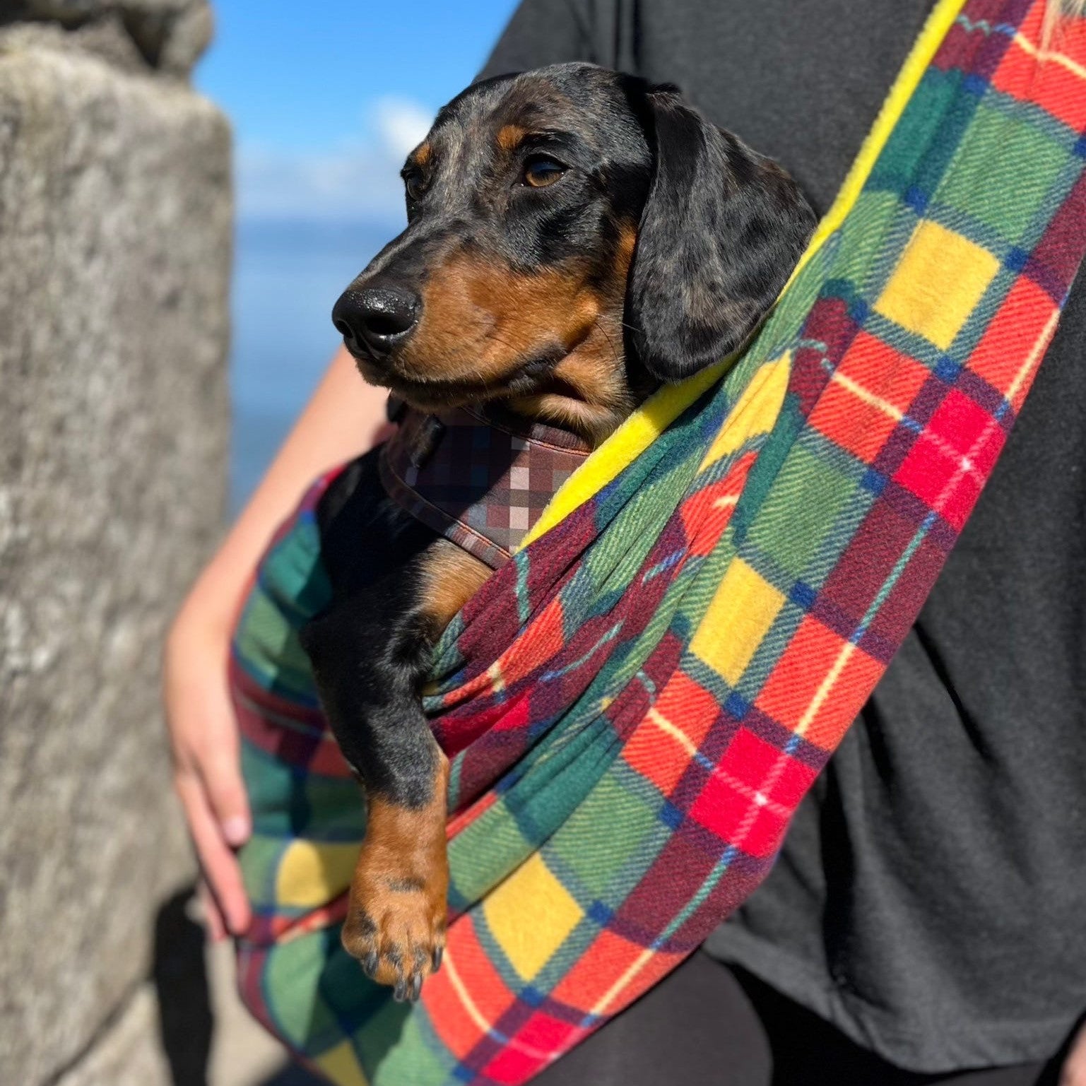 checkered dog sling