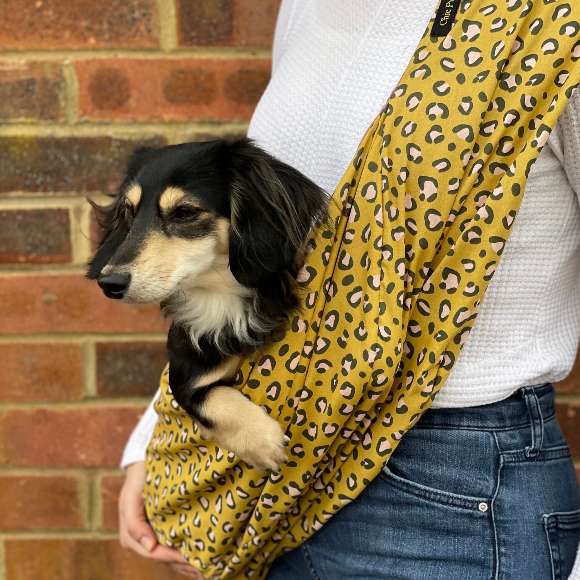 Person holding a small dog in a yellow leopard print sling against a brick wall.