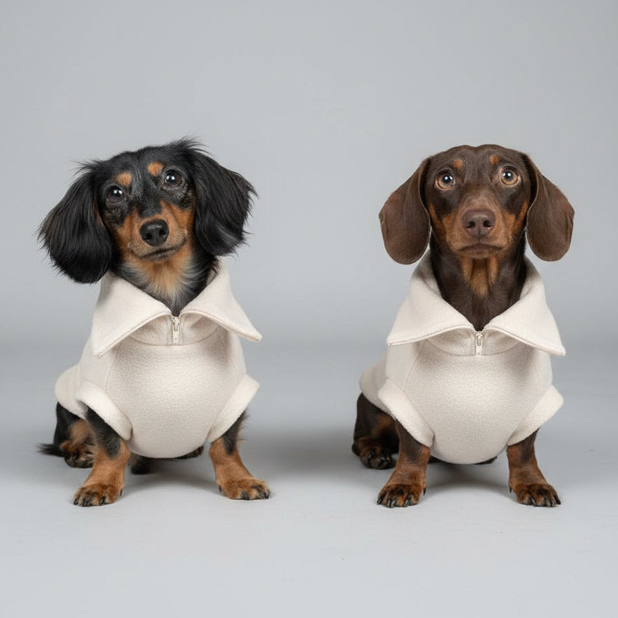 Two dachshunds wearing beige colored jumpers with zippers on the neck, one with a brown and black coat, and the other with a brown coat.