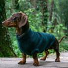 dog fleece jumper in green