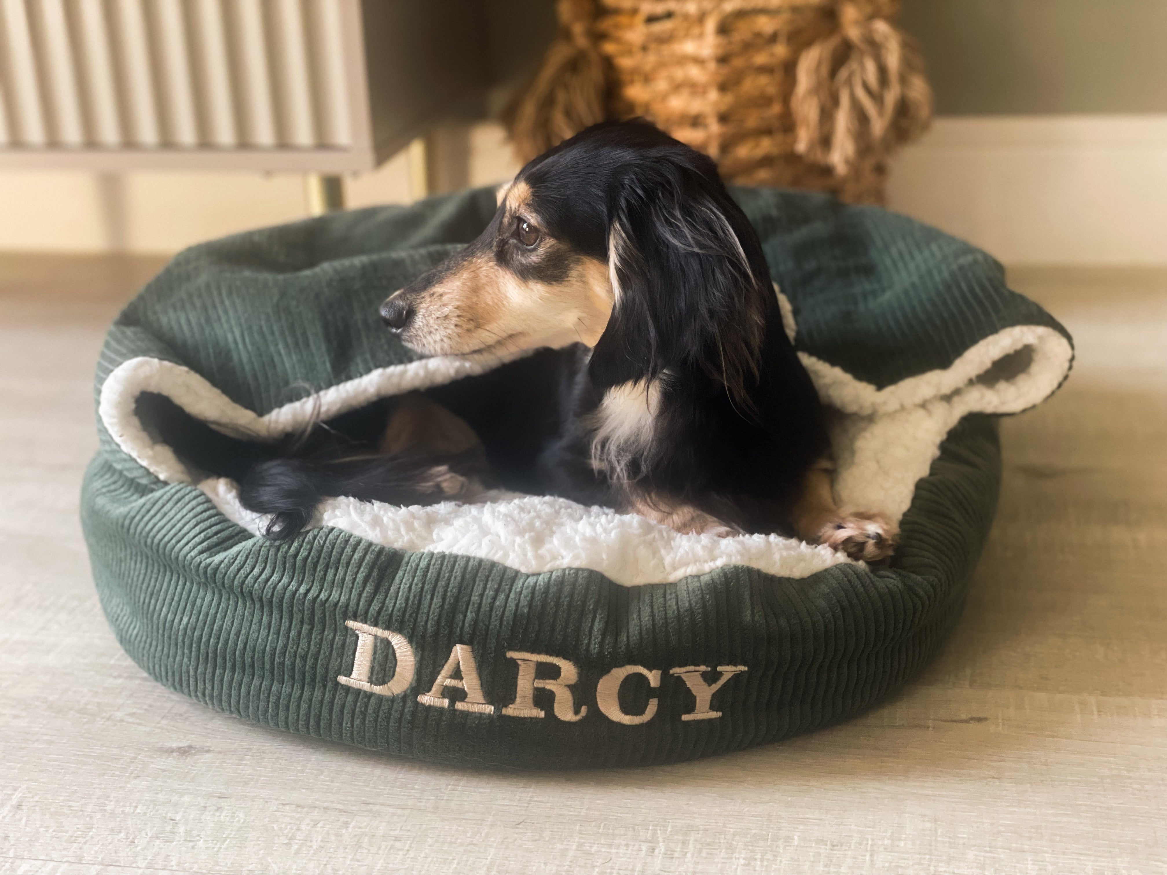 The Perfect Dog Bed for Dachshunds: Discover Our New Snuggly Cave Bed Range