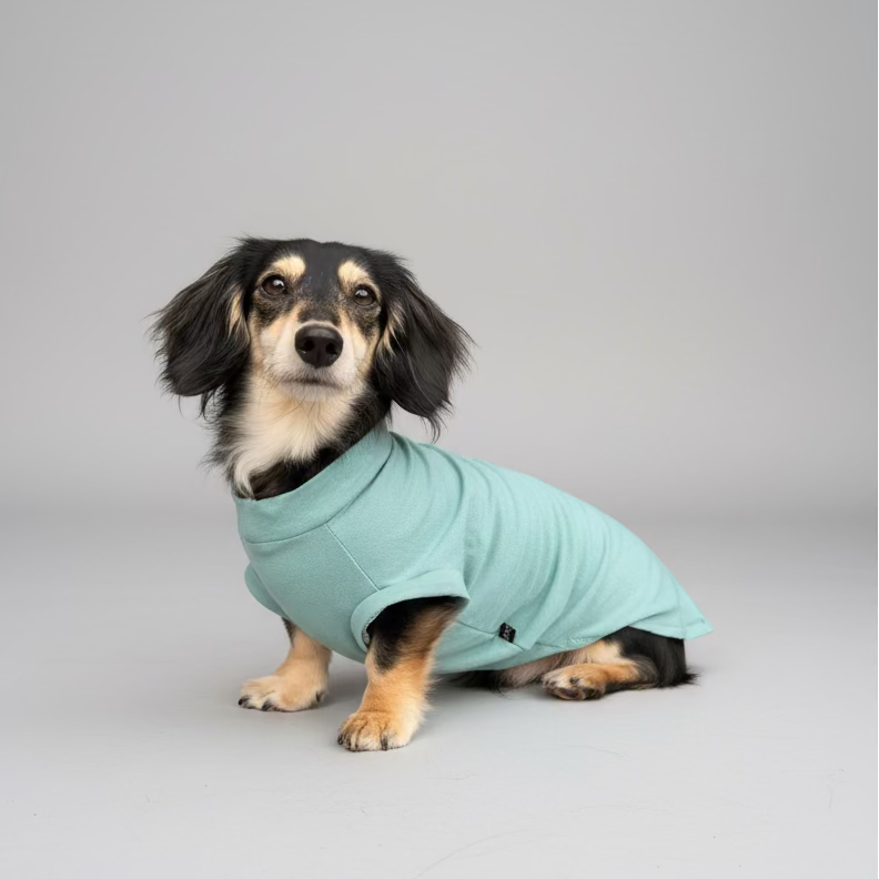 How to Keep Your Dachshund Cool This Summer (+ Our Favourite Summer Picks)