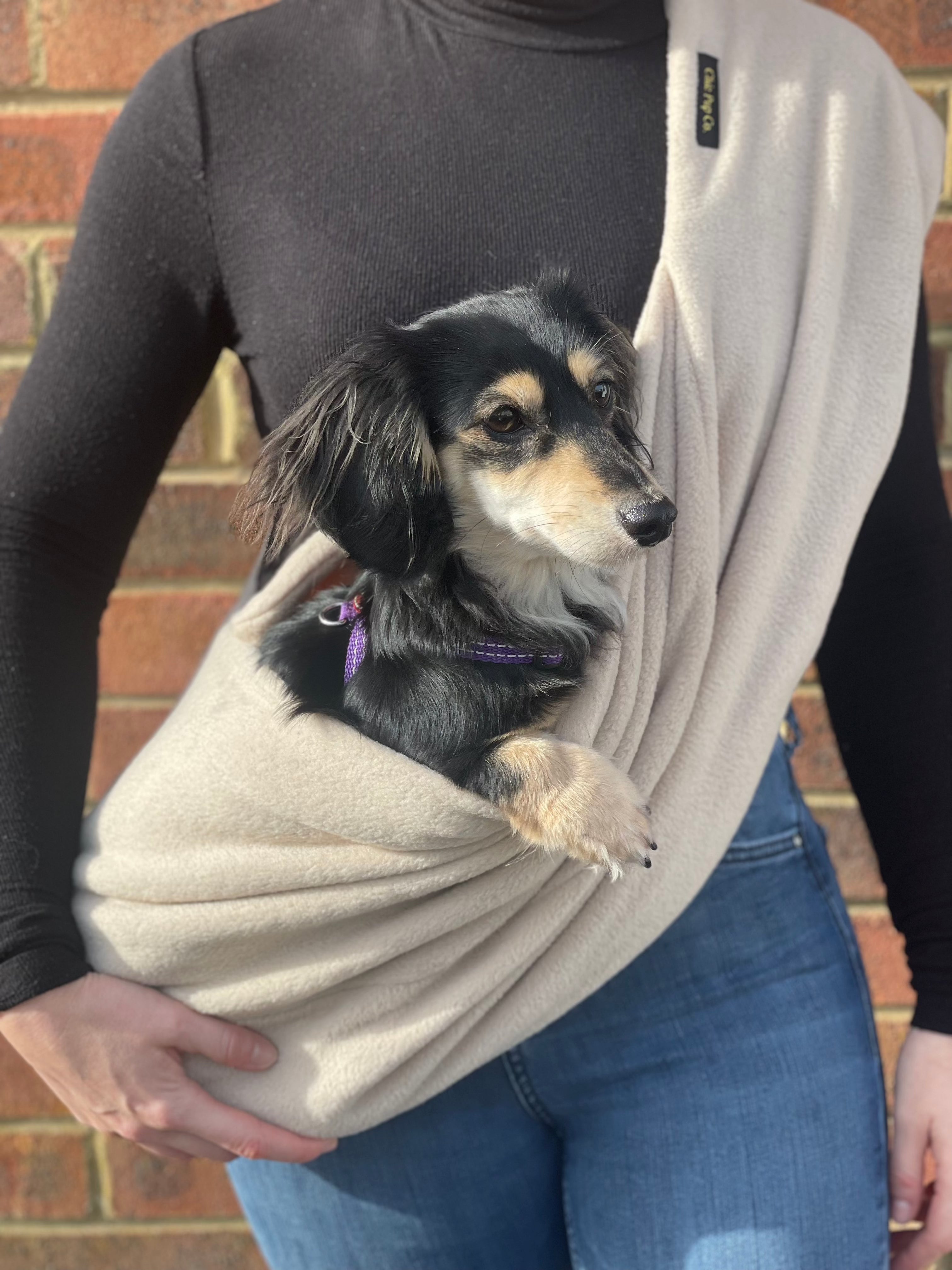 Dachshund dog in a small sized beige sling