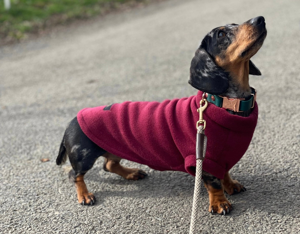 Luxury Dachshund Jumpers