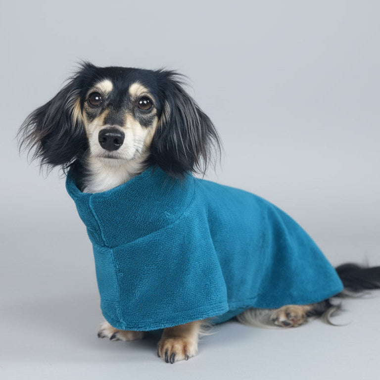 Small Dachshund dog in a bamboo drying robe