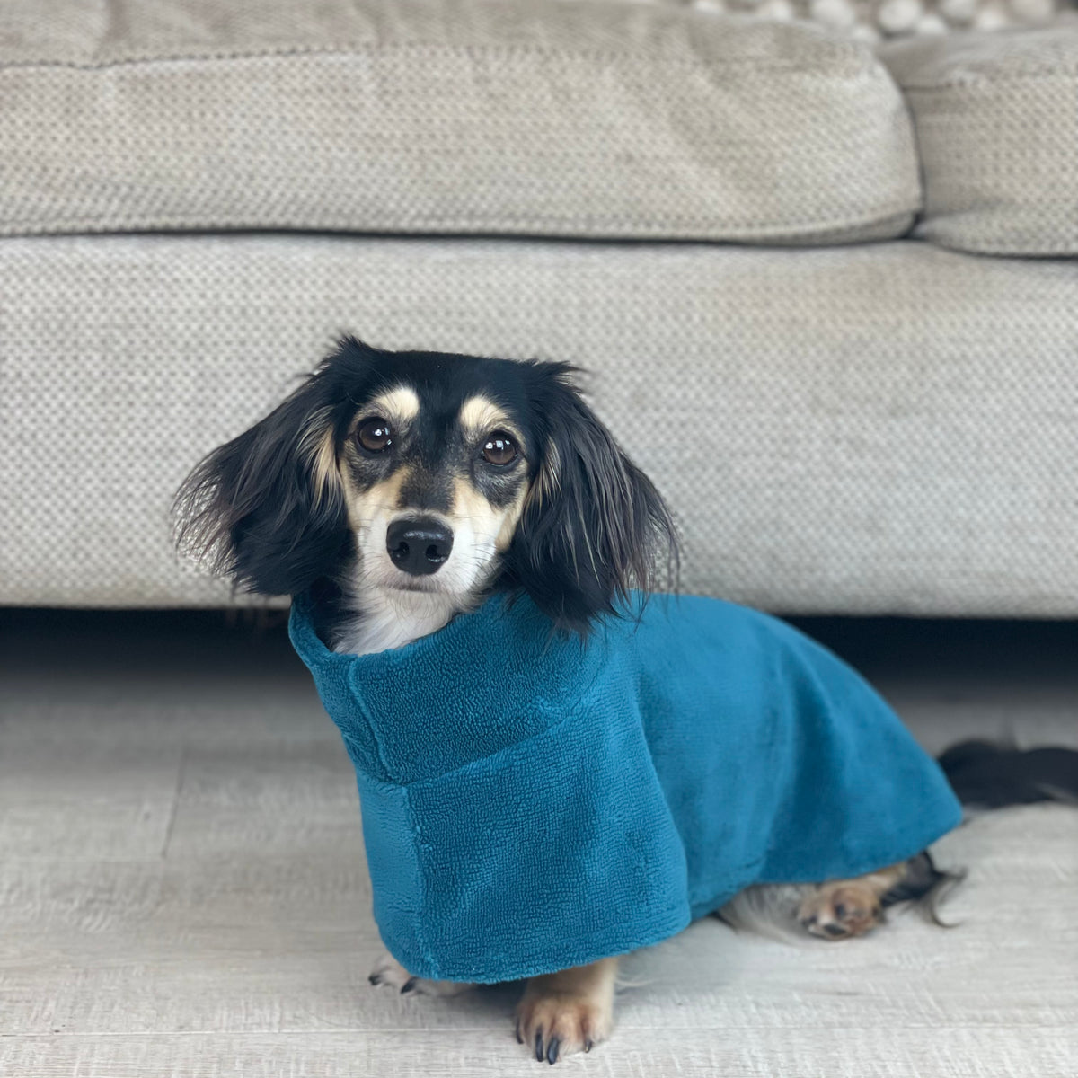 Bamboo Towelling Coats – Chic Pup Co.