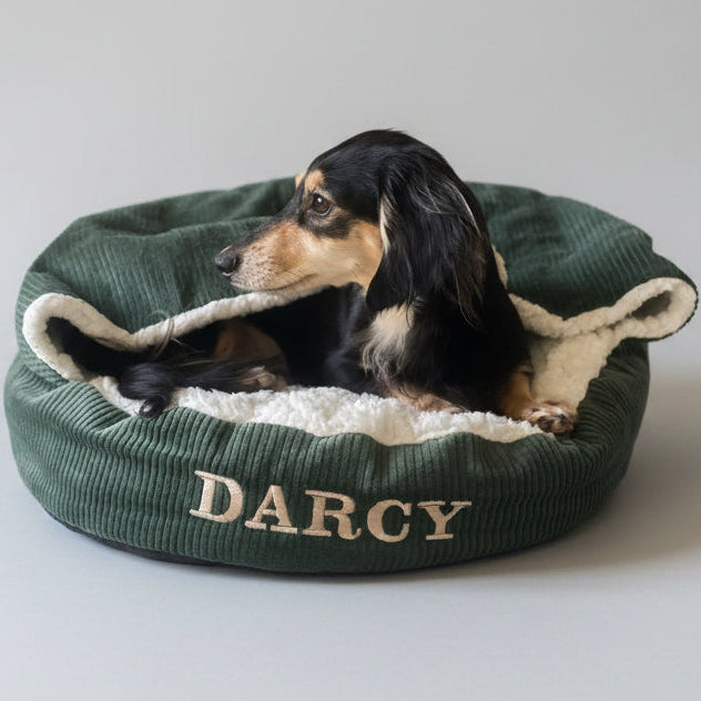 A dachshund dog resting inside a green cave-style dog bed with the name 'Darcy' embroidered on it.