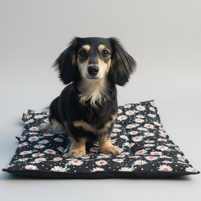 A small black dog with a floral print travel dog mat outdoors.