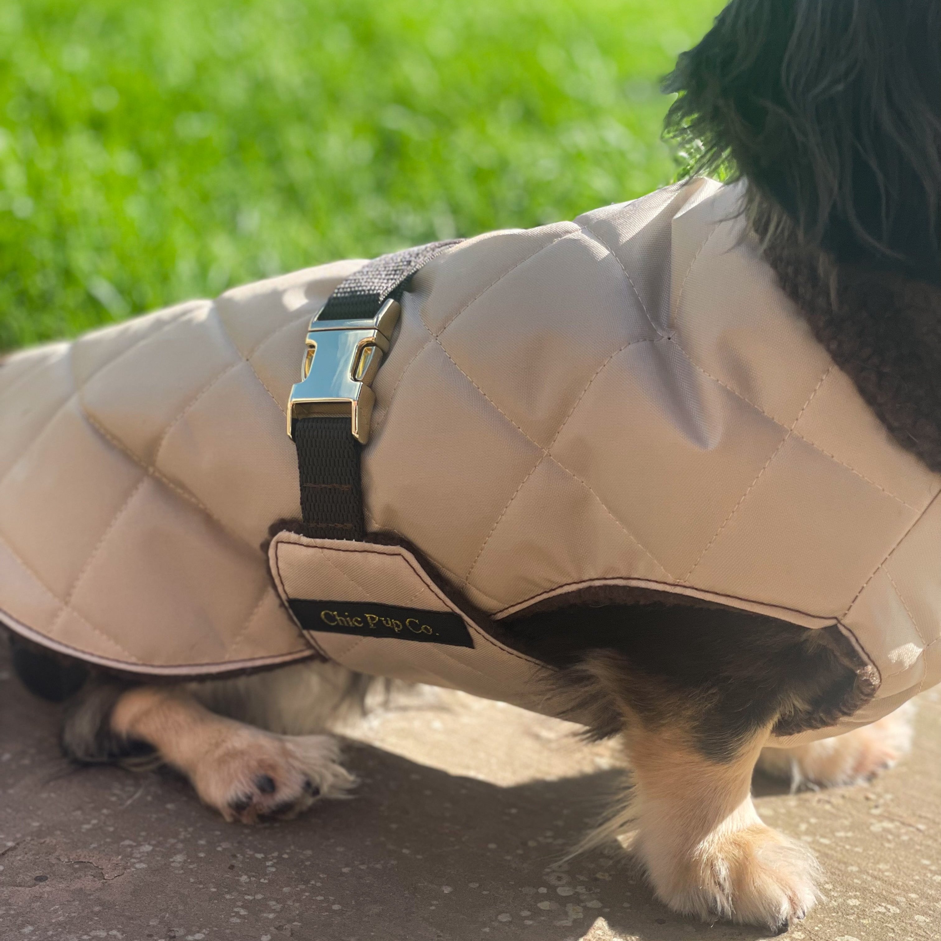 Dachshund Quilted Sherpa Dapper Coat Chic Pup Co