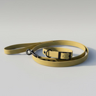 Yellow dog leash and collar on a stone surface with a residential area in the background