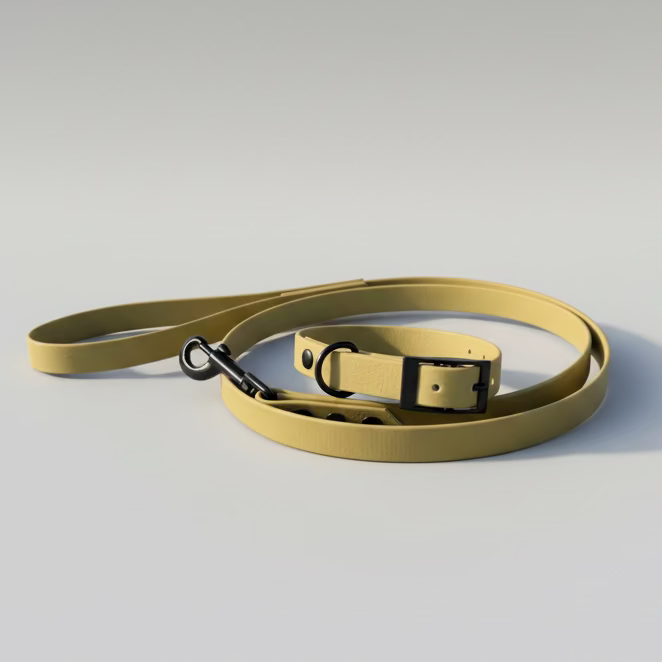 Yellow dog leash and collar on a stone surface with a residential area in the background