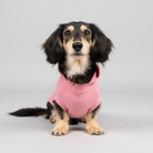 Small dog wearing a pink shirt sitting on a textured surface with wooden background