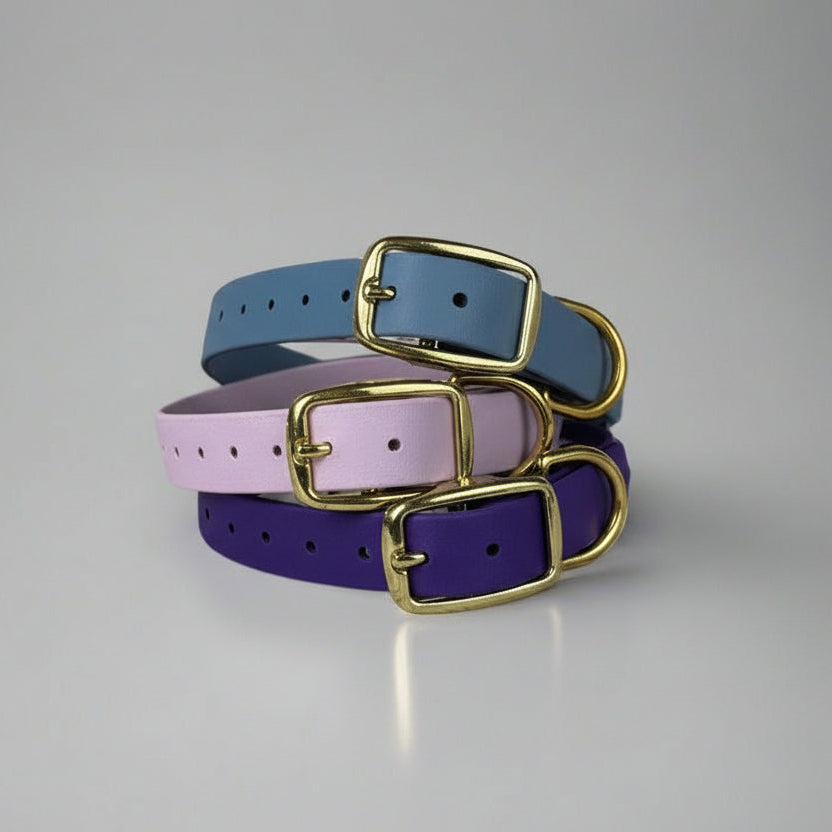 A selection of dog collars in gray, pink, and purple, featuring brass plated buckles.