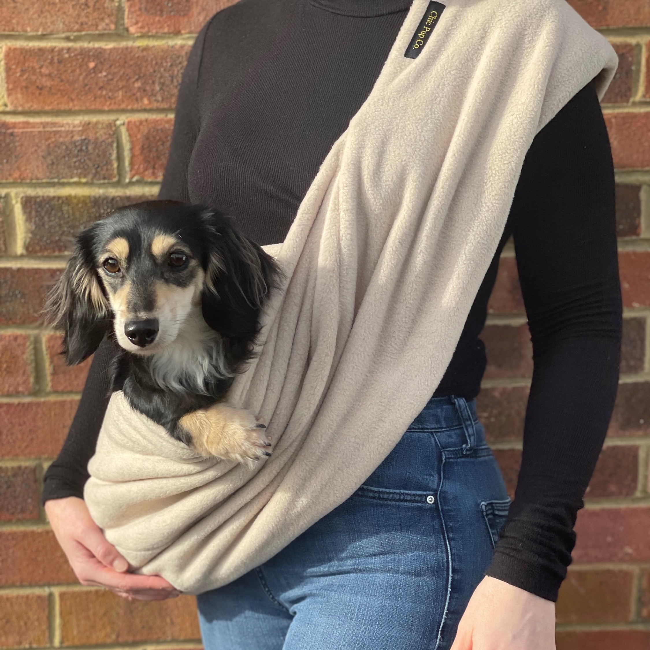 Dachshund dog carrier best sale