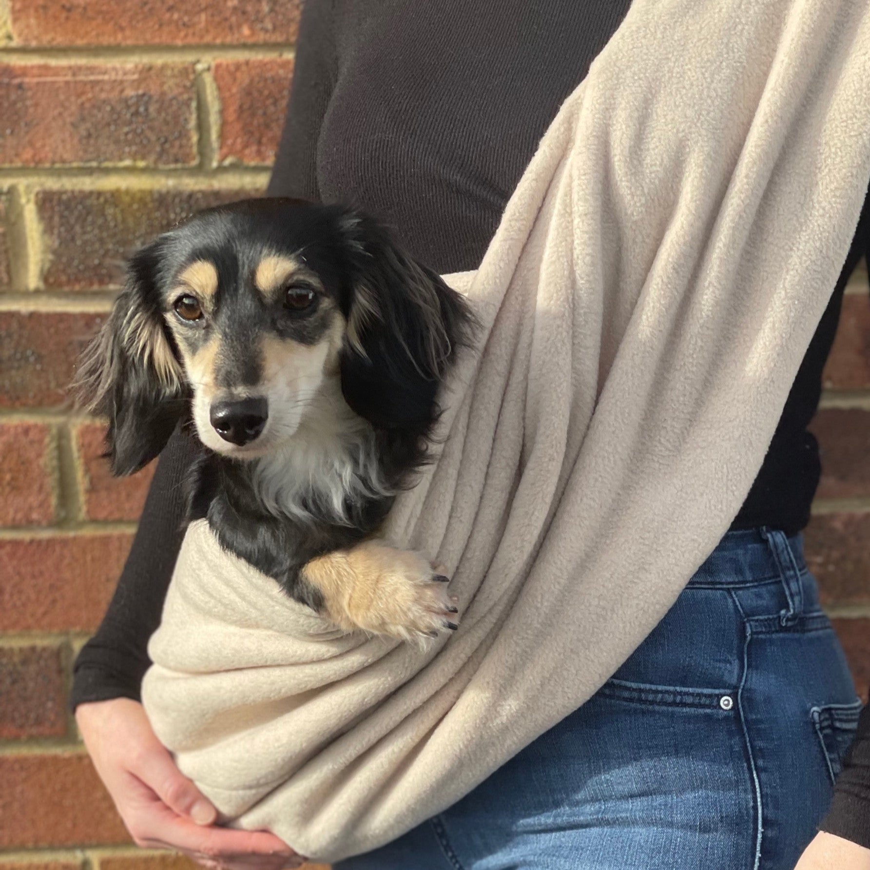 A person carrying a Dachshund dog in a beige-colored sling carrier.