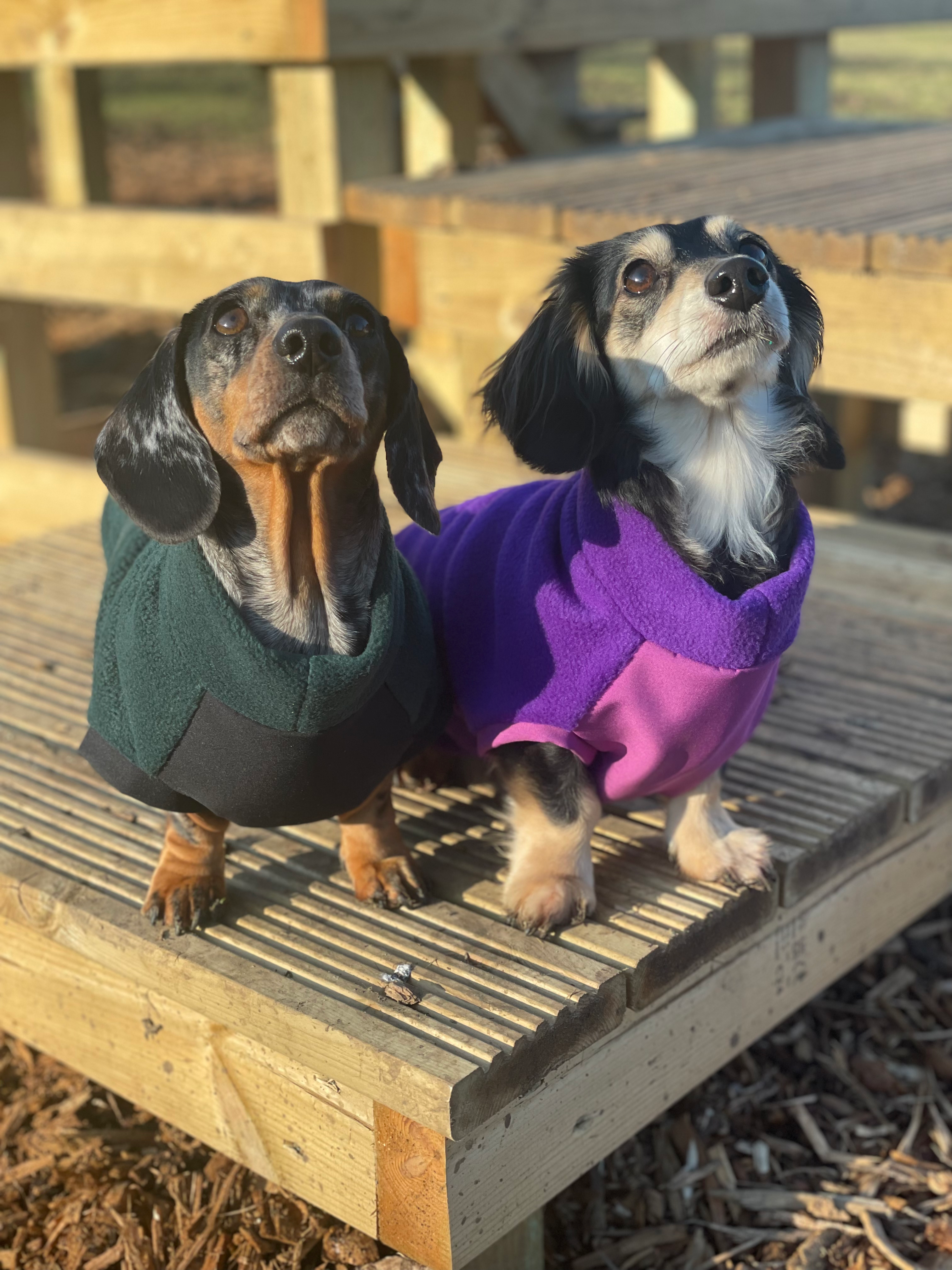 Dachshund Pajamas Sausage Dog Pyjamas Sainsbury's Turtleneck