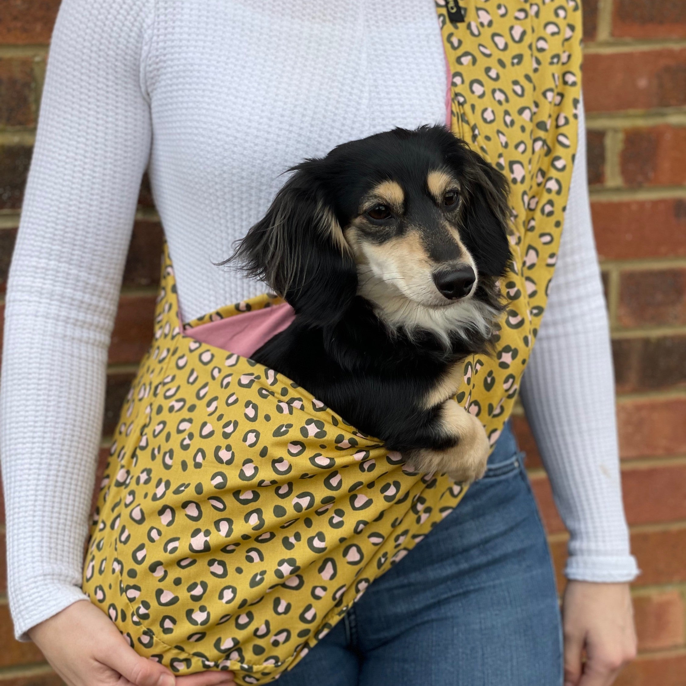 Summer Dog Sling