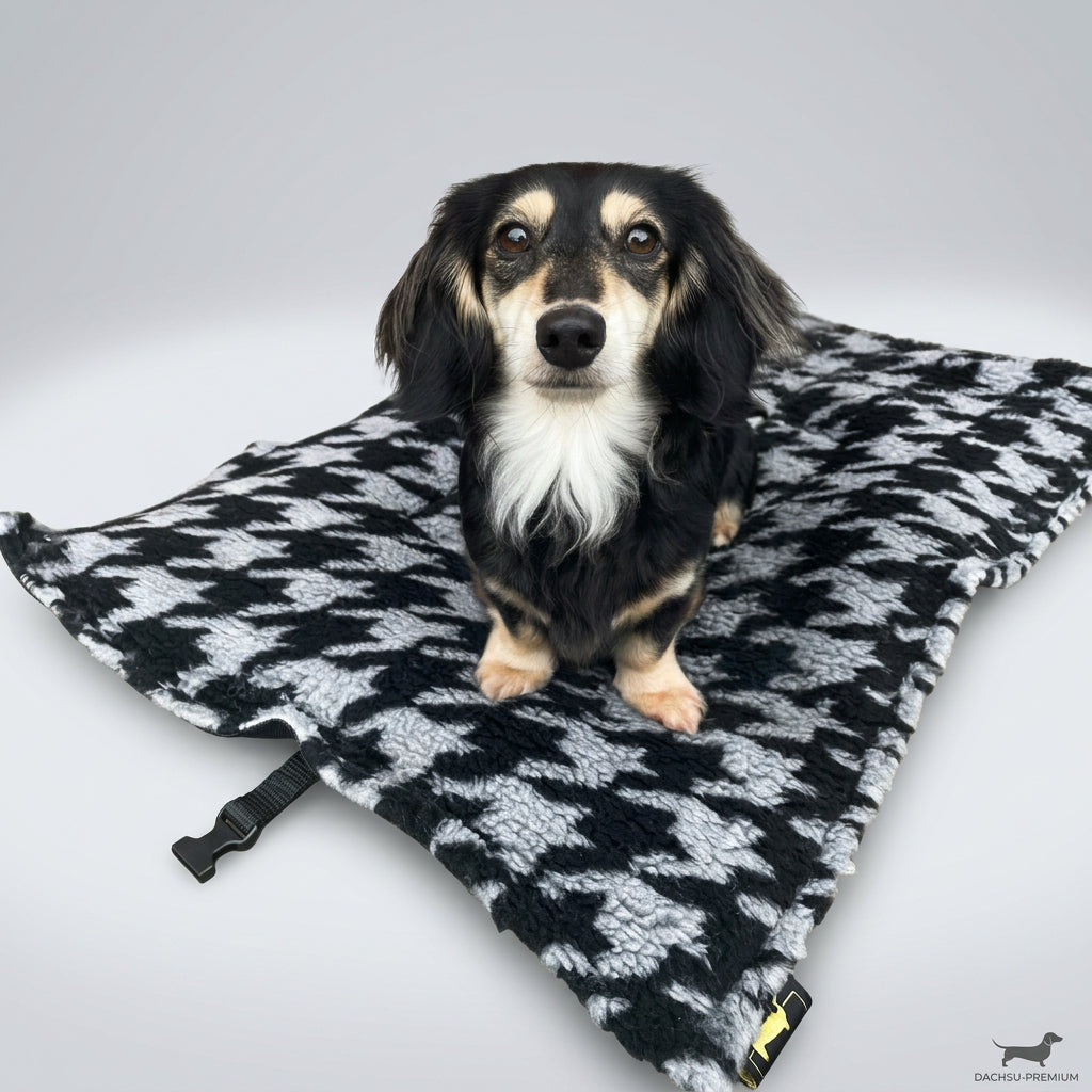 dachshund sitting on a settle roll mat.