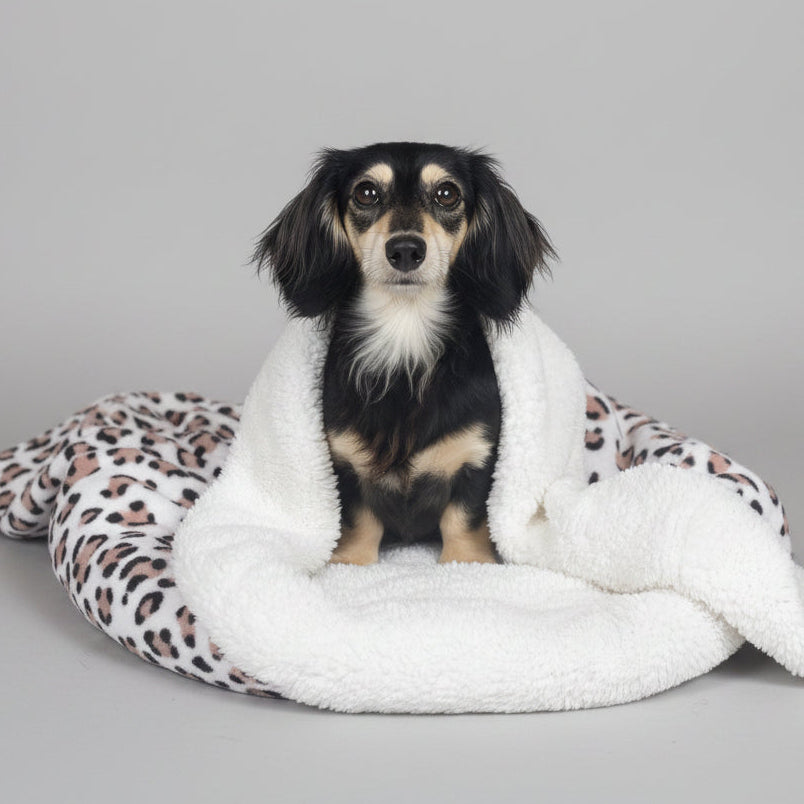 A small black and tan dog sits centered on a plush white pet bed with a leopard-print reverse side, wrapped in a white faux-fur throw against a plain light gray studio background.