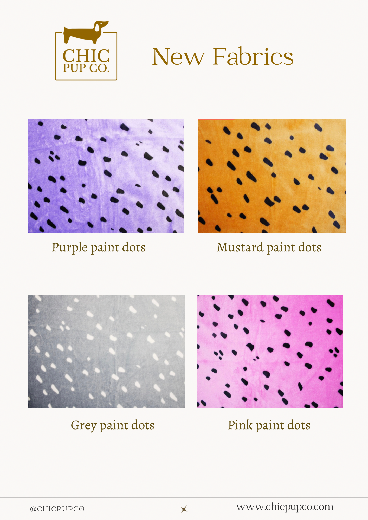 paint dots colours .PNG