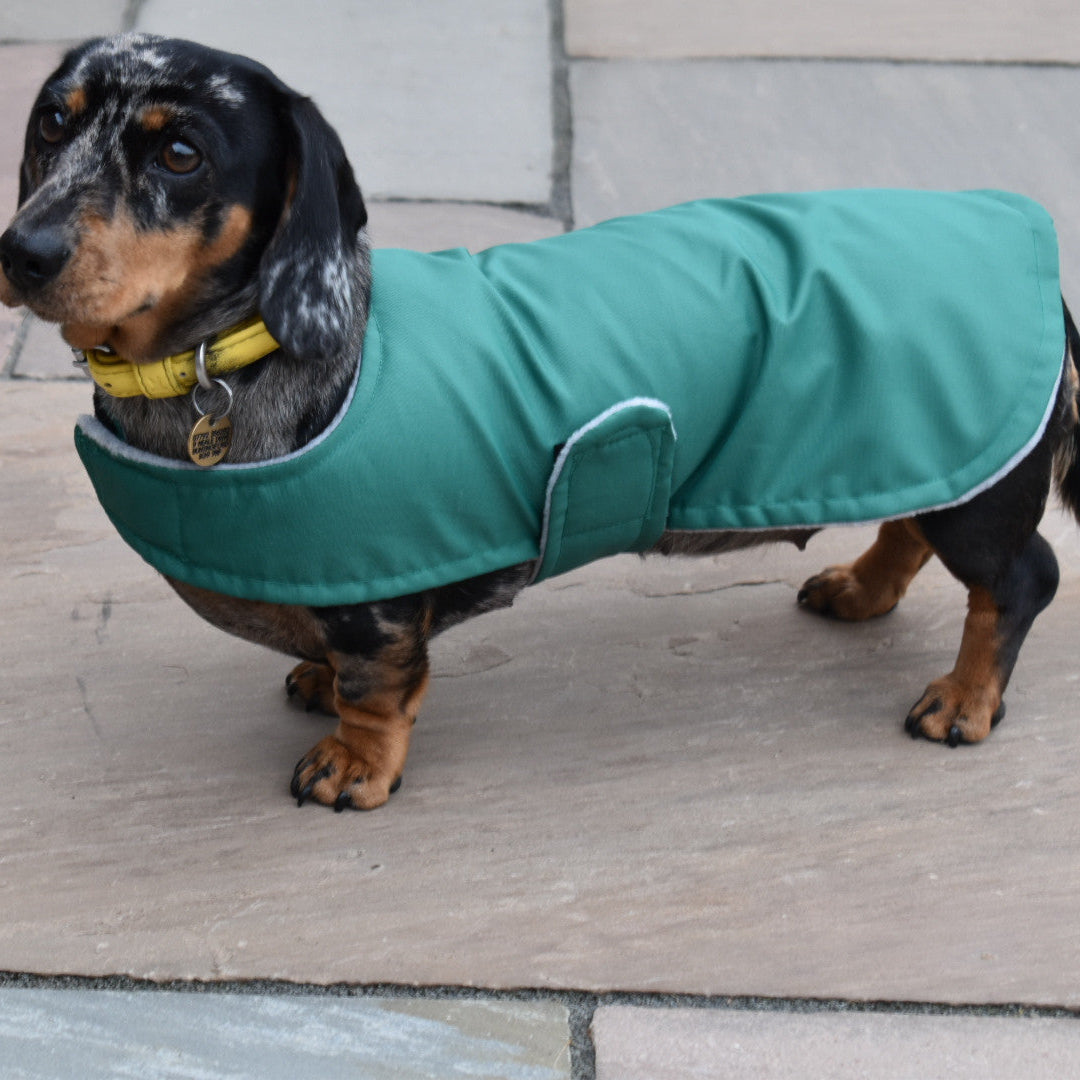 lightweight dog coat.JPG