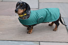 lightweight dog coat.JPG