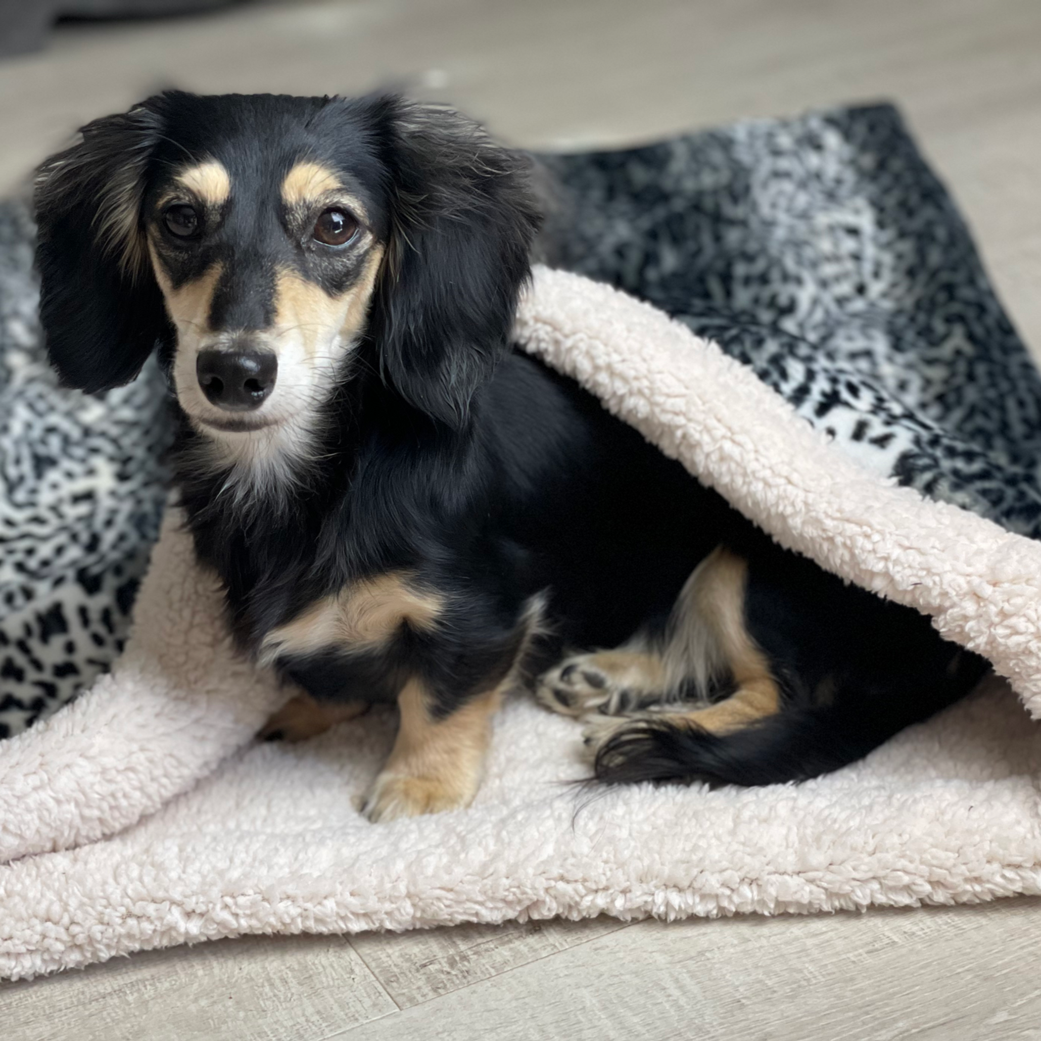 luxury cosy sack 
